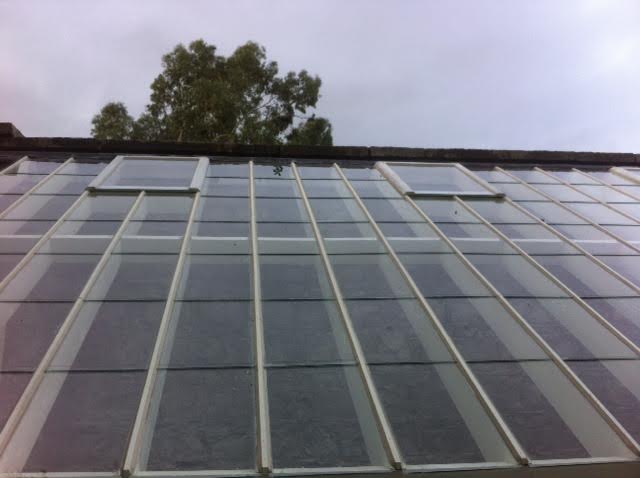 Glasshouse